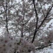 ヒメ日記 2026/04/02 09:53 投稿 みより アイドルリーグ