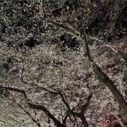 ヒメ日記 2026/04/28 10:27 投稿 みより アイドルリーグ