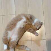 ヒメ日記 2025/06/17 14:58 投稿 おとは【☆神パイ〇リで昇天☆】 なすがママされるがママ 宇都宮