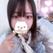 ヒメ日記 2025/06/11 16:21 投稿 ねこ LEVEL1