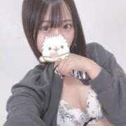 ヒメ日記 2025/07/06 17:56 投稿 ねこ LEVEL1