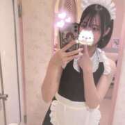 ヒメ日記 2025/07/12 18:28 投稿 ねこ LEVEL1