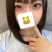 ヒメ日記 2025/07/14 18:22 投稿 ねこ LEVEL1