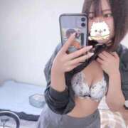 ねこ 出勤します~🐱 LEVEL1