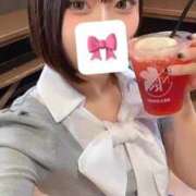 ねこ お久しぶりです🐱 LEVEL1