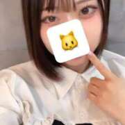 ねこ 出勤しました🐱 LEVEL1