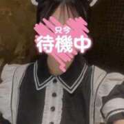 まつり ૮ ◞ ⸝⸝ ◟ ྀིა Venti大阪