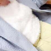 ヒメ日記 2025/11/19 03:03 投稿 ゆきな 奥様案内所函館店