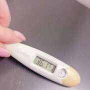 ヒメ日記 2025/06/10 14:47 投稿 サユリ(奥方) 奥様幕府