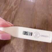 ヒメ日記 2025/06/14 16:07 投稿 サユリ(奥方) 奥様幕府