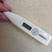 ヒメ日記 2025/06/15 14:17 投稿 サユリ(奥方) 奥様幕府