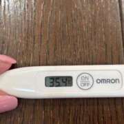 ヒメ日記 2025/06/18 15:17 投稿 サユリ(奥方) 奥様幕府