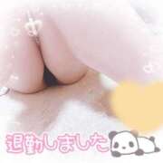 ヒメ日記 2025/08/06 03:06 投稿 サユリ(奥方) 奥様幕府