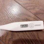 ヒメ日記 2025/10/26 13:57 投稿 サユリ(奥方) 奥様幕府