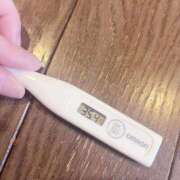 ヒメ日記 2025/11/02 15:47 投稿 サユリ(奥方) 奥様幕府