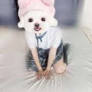 ヒメ日記 2025/07/04 19:49 投稿 まりか【濃厚責め御奉仕】 Aris（アリス）☆超恋人空間☆沖縄最大級！！