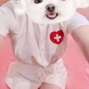 ヒメ日記 2025/07/05 18:14 投稿 まりか【濃厚責め御奉仕】 Aris（アリス）☆超恋人空間☆沖縄最大級！！