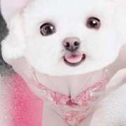 ヒメ日記 2025/07/05 19:49 投稿 まりか【濃厚責め御奉仕】 Aris（アリス）☆超恋人空間☆沖縄最大級！！