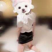 ヒメ日記 2025/07/07 14:49 投稿 まりか【濃厚責め御奉仕】 Aris（アリス）☆超恋人空間☆沖縄最大級！！