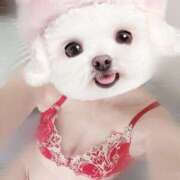 ヒメ日記 2025/07/07 22:39 投稿 まりか【濃厚責め御奉仕】 Aris（アリス）☆超恋人空間☆沖縄最大級！！