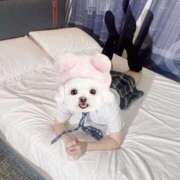 ヒメ日記 2025/07/09 22:59 投稿 まりか【濃厚責め御奉仕】 Aris（アリス）☆超恋人空間☆沖縄最大級！！