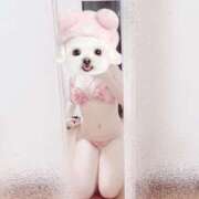 ヒメ日記 2025/07/17 19:36 投稿 まりか【濃厚責め御奉仕】 Aris（アリス）☆超恋人空間☆沖縄最大級！！