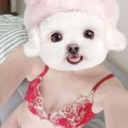 ヒメ日記 2025/07/18 17:09 投稿 まりか【濃厚責め御奉仕】 Aris（アリス）☆超恋人空間☆沖縄最大級！！