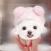 ヒメ日記 2025/10/04 03:09 投稿 まりか【濃厚責め御奉仕】 Aris（アリス）☆超恋人空間☆沖縄最大級！！