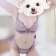 ヒメ日記 2025/10/17 11:20 投稿 まりか【濃厚責め御奉仕】 Aris（アリス）☆超恋人空間☆沖縄最大級！！