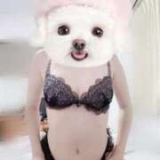 ヒメ日記 2025/10/18 05:19 投稿 まりか【濃厚責め御奉仕】 Aris（アリス）☆超恋人空間☆沖縄最大級！！