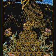 ヒメ日記 2025/12/03 14:55 投稿 まりか【濃厚責め御奉仕】 Aris（アリス）☆超恋人空間☆沖縄最大級！！