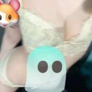 ヒメ日記 2025/10/13 08:10 投稿 もえ My Essentials