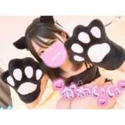 ヒメ日記 2026/02/15 20:08 投稿 まどか Baby Doll's