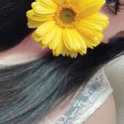 ヒメ日記 2025/06/12 11:44 投稿 くぅ 宮崎ちゃんこ都城店