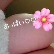 ヒメ日記 2025/06/12 12:27 投稿 くぅ 宮崎ちゃんこ都城店