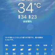 ヒメ日記 2025/07/07 13:45 投稿 くぅ 宮崎ちゃんこ都城店