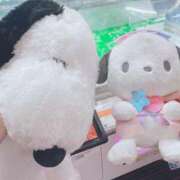 ヒメ日記 2025/07/09 07:45 投稿 くぅ 宮崎ちゃんこ都城店