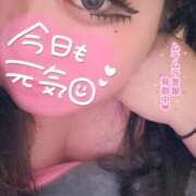 ヒメ日記 2025/07/18 15:55 投稿 くぅ 宮崎ちゃんこ都城店