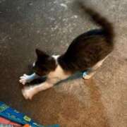 ヒメ日記 2025/07/23 16:35 投稿 くぅ 宮崎ちゃんこ都城店