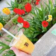 ヒメ日記 2025/08/21 07:25 投稿 くぅ 宮崎ちゃんこ都城店