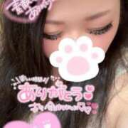 ヒメ日記 2025/08/31 14:25 投稿 くぅ 宮崎ちゃんこ都城店