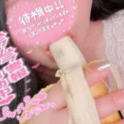 ヒメ日記 2025/09/04 12:05 投稿 くぅ 宮崎ちゃんこ都城店