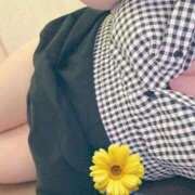 ヒメ日記 2025/09/05 08:25 投稿 くぅ 宮崎ちゃんこ都城店