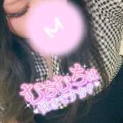 ヒメ日記 2025/09/07 12:25 投稿 くぅ 宮崎ちゃんこ都城店