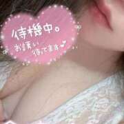 ヒメ日記 2025/09/13 16:35 投稿 くぅ 宮崎ちゃんこ都城店