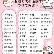 ヒメ日記 2025/09/30 15:35 投稿 くぅ 宮崎ちゃんこ都城店