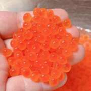 ヒメ日記 2025/10/02 11:55 投稿 くぅ 宮崎ちゃんこ都城店