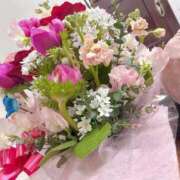 ヒメ日記 2025/10/08 07:15 投稿 くぅ 宮崎ちゃんこ都城店