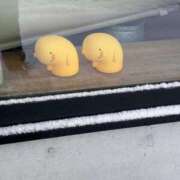 ヒメ日記 2025/10/23 13:15 投稿 くぅ 宮崎ちゃんこ都城店