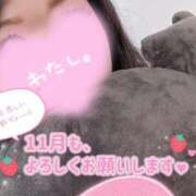 ヒメ日記 2025/11/01 07:05 投稿 くぅ 宮崎ちゃんこ都城店